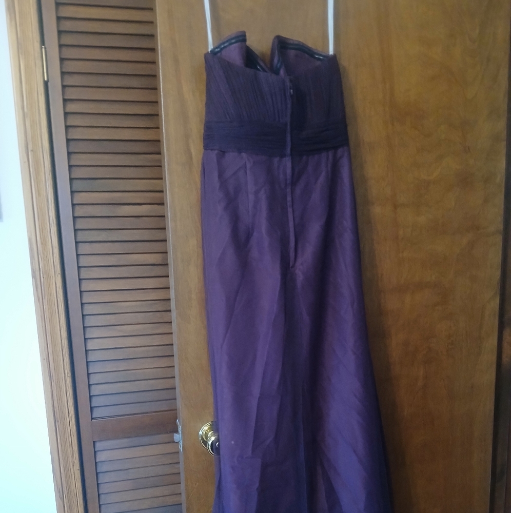 Jordan Wine Strapless Size 7/8 Netting Overlay